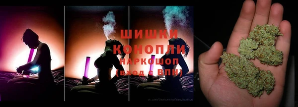 ешки Семилуки