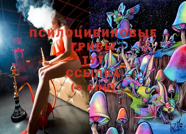 мдма Бородино
