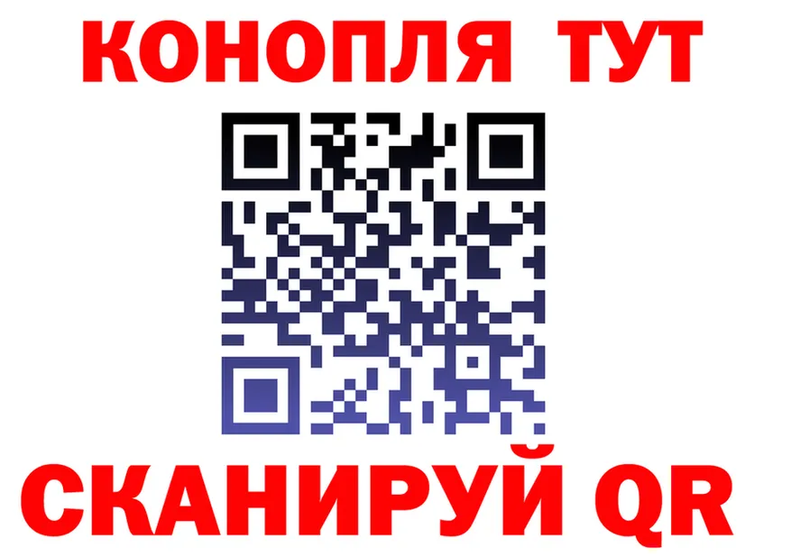 Alfa_PVP СК КРИС маркетплейс маркетплейс KRAKEN Шилка