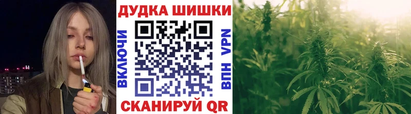 Бошки марихуана план  гидра как войти  Шилка 